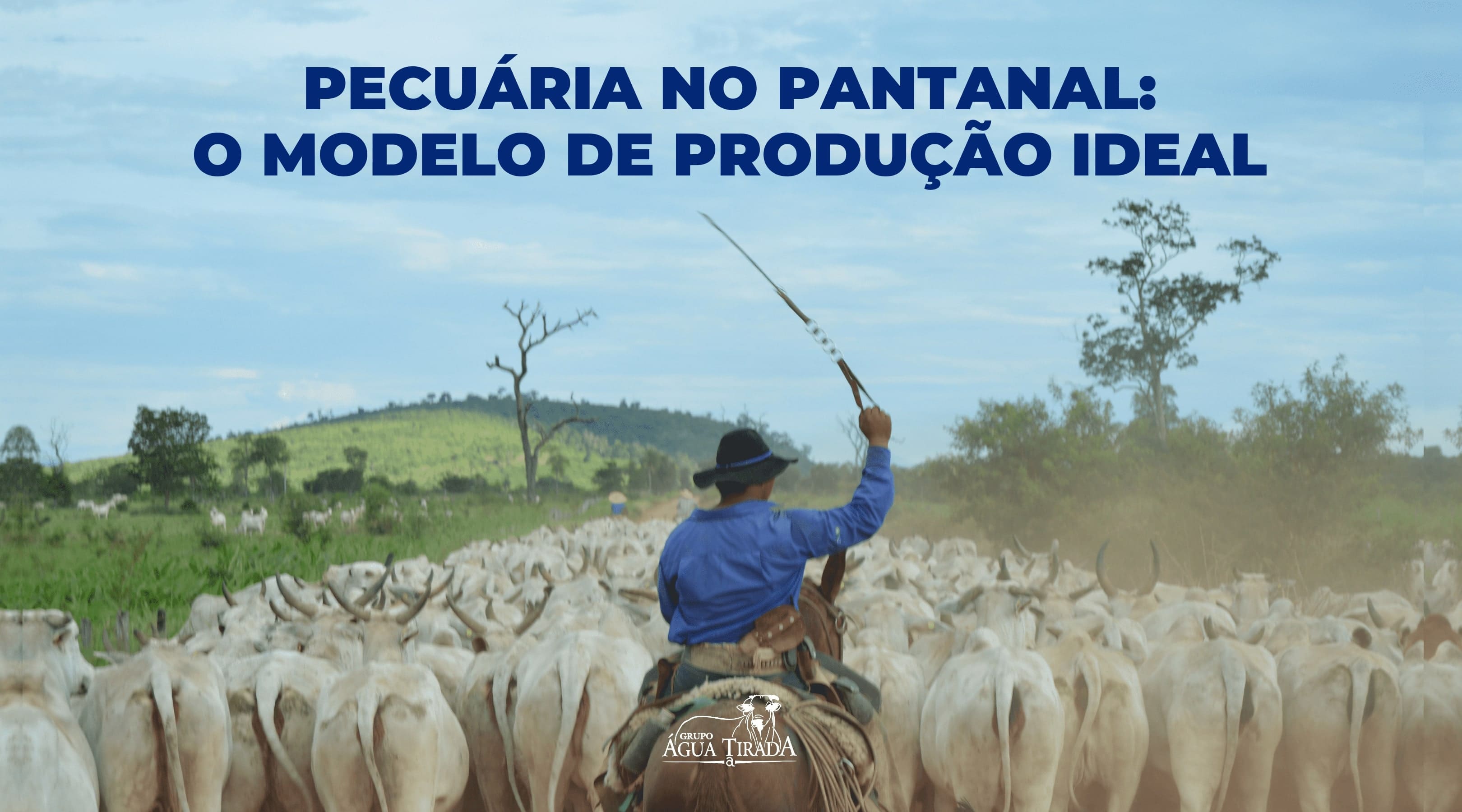 Pecuária no Pantanal: o Modelo de Produção Ideal