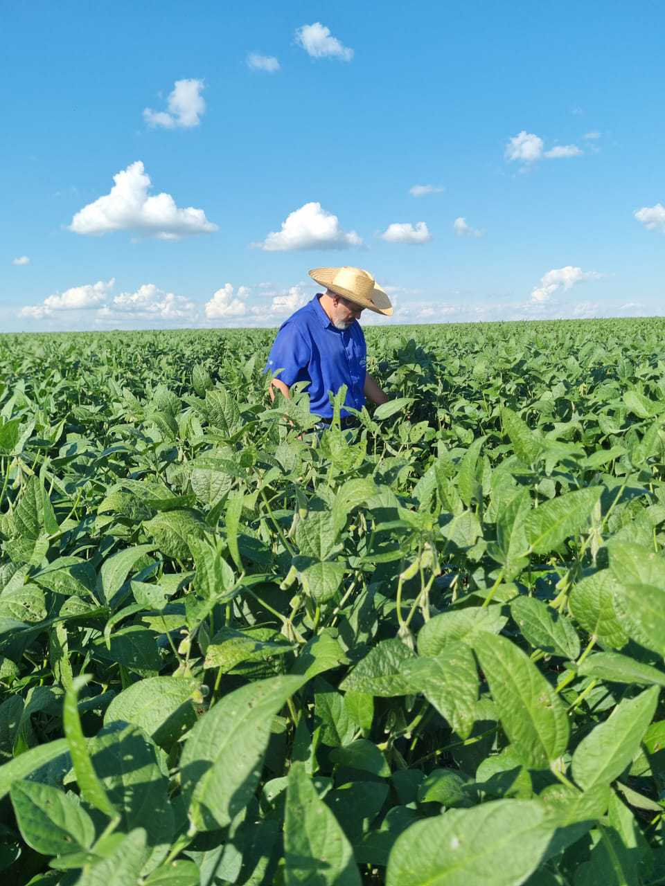 Dia do Agricultor: Celebrando a Essência da Vida e do Trabalho no Campo