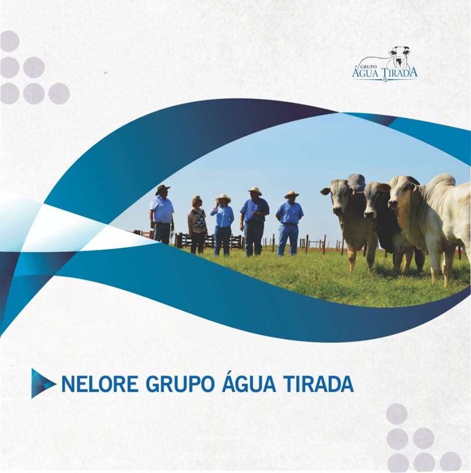 Agua Tirada Empreendimentos