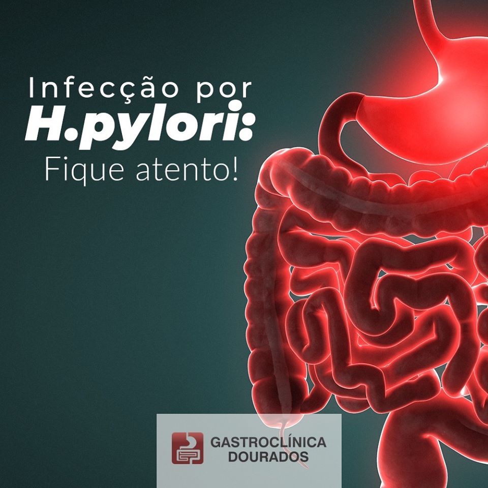 H.pylori o que é?